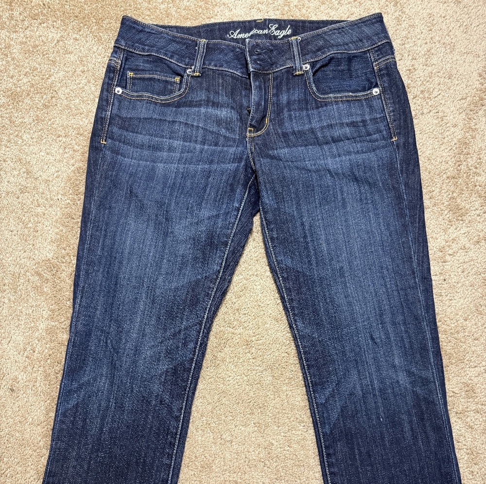 American Eagle Outfitters "Artist" Jeans Size 8